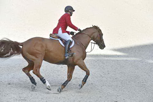 WEG1-SJ-Team2-9-4-14-0002048-McLainWard-Rothchild-USA-DDeRosaPhoto