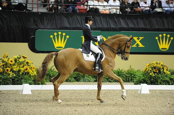 MonicaTheodorescu-Whisper-DER_8527.jpg
