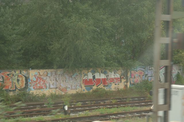 003-WEG-8-18-19-06-&copy;DDeRosaPhoto.jpg