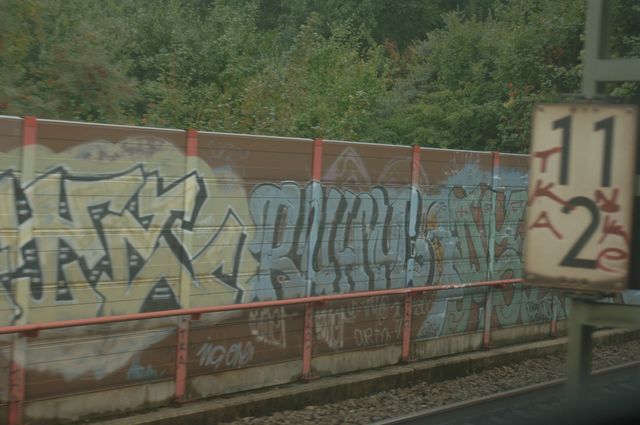 008-WEG-8-18-19-06-&copy;DDeRosaPhoto.jpg