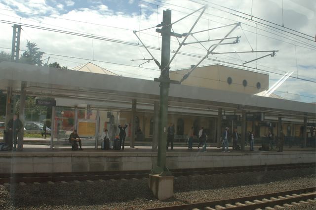 020-WEG-8-18-19-06-&copy;DDeRosaPhoto.jpg