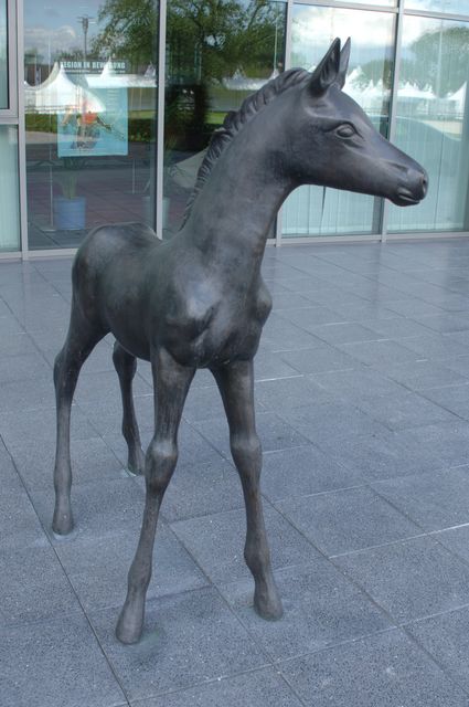 055-WEG-8-18-19-06-&copy;DDeRosaPhoto.jpg