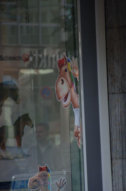 069-WEG-8-18-19-06-&copy;DDeRosaPhoto.jpg