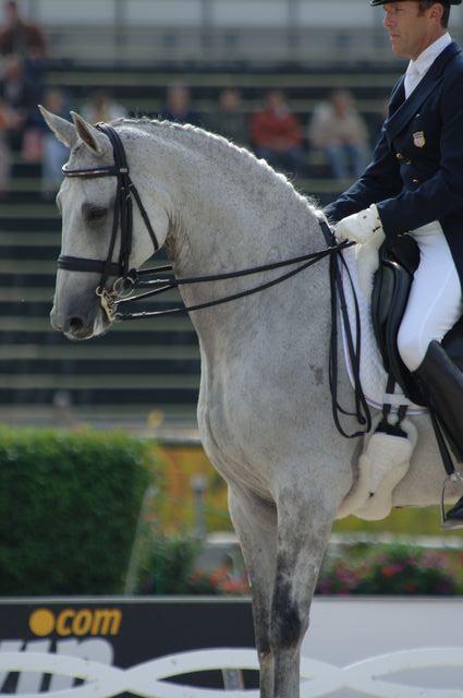 756-GuenterSeidel-Aragon-WEG-8-23-06-_DeRosaPhoto.JPG