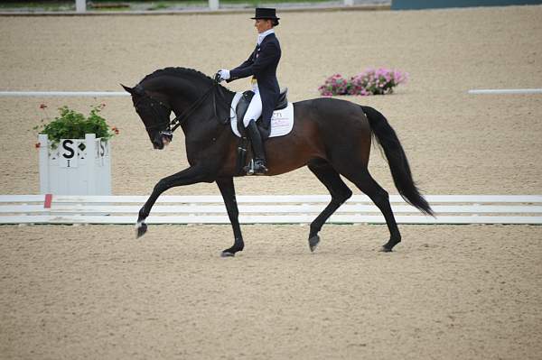 WEG-DRTst-4-20-10-0423-Leonberg-MikalaMunterGunderse-DDeRosaPhoto.jpg