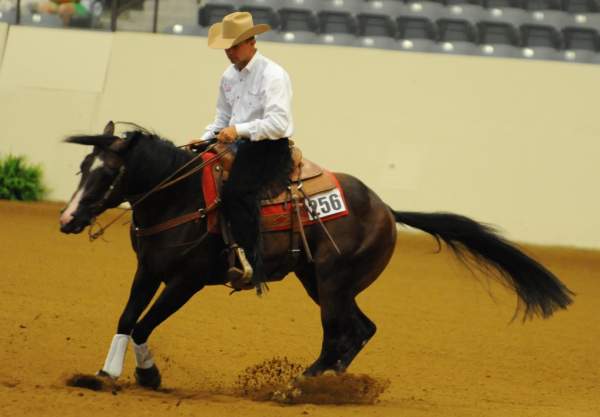 WEG-7-21-09-0016-ReiningTest-AaronRalston-DoubleMyWhiskey-USA-DDeRosaPhoto.jpg
