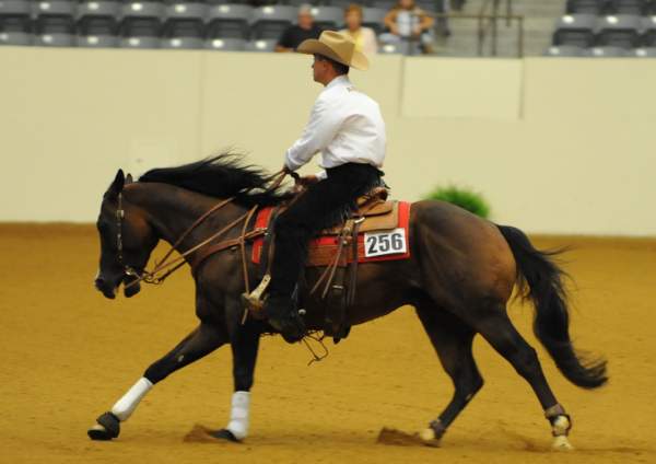 WEG-7-21-09-0025-ReiningTest-AaronRalston-DoubleMyWhiskey-USA-DDeRosaPhoto.jpg