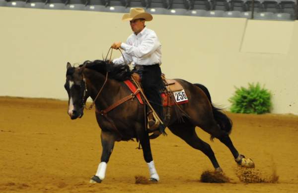 WEG-7-21-09-0027-ReiningTest-AaronRalston-DoubleMyWhiskey-USA-DDeRosaPhoto.jpg
