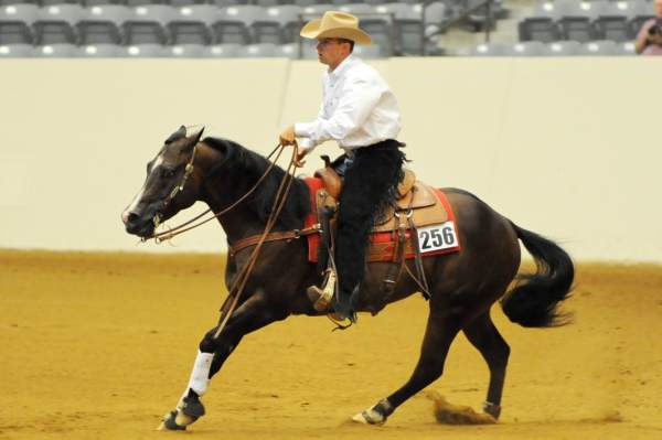WEG-7-21-09-0030-ReiningTest-AaronRalston-DoubleMyWhiskey-USA-DDeRosaPhoto.jpg