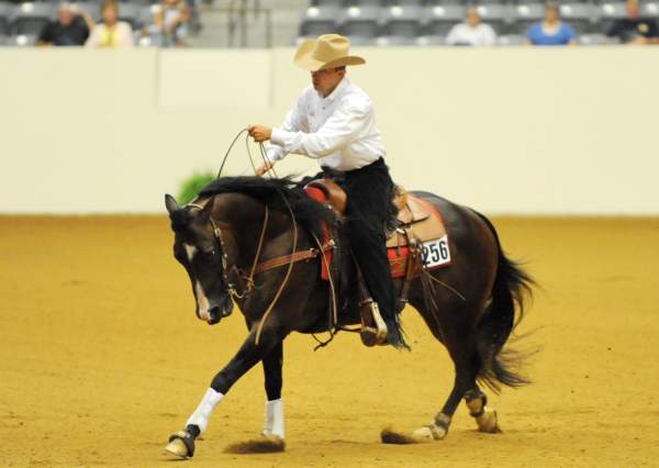 WEG-7-21-09-0033-ReiningTest-AaronRalston-DoubleMyWhiskey-USA-DDeRosaPhoto.jpg