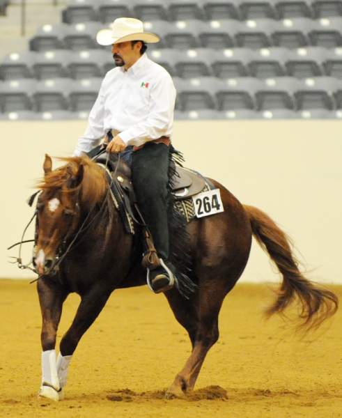 WEG-7-21-09-0054-ReiningTest-AlbertoHawa-GrabYourGuns-MEX-DDeRosaPhoto.jpg