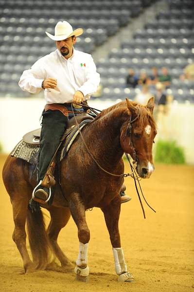WEG-7-21-09-0087-ReiningTest-AlbertoHawa-GrabYourGuns-MEX-DDeRosaPhoto.jpg