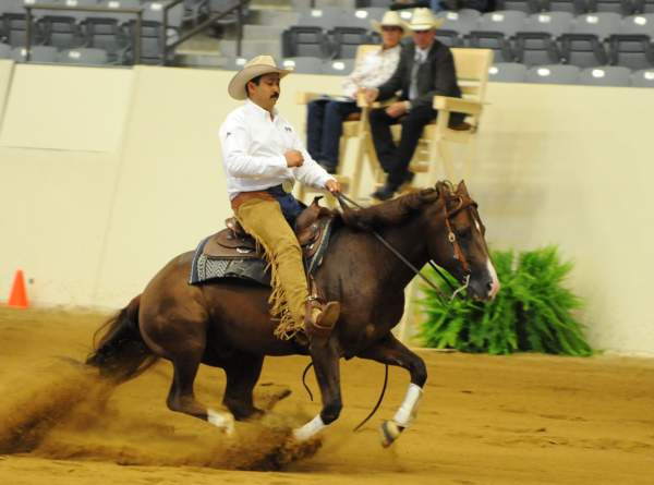 WEG-7-21-09-0222-ReiningTest-JorgeRamirez-JalapenoPeppy-MEX-DDeRosaPhoto.jpg