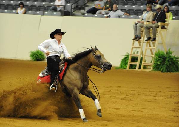 WEG-7-21-09-0294-ReiningTest-Lisa Coulter-HollywoodAces-CAN-DDeRosaPhoto.jpg