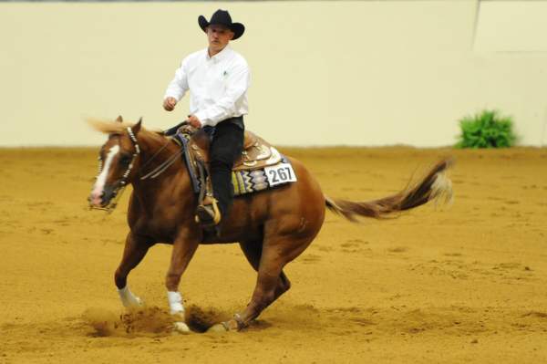WEG-7-21-09-0573-ReiningTest-JoseVazquez-JuicedUpDoc-MEX-DDeRosaPhoto.jpg