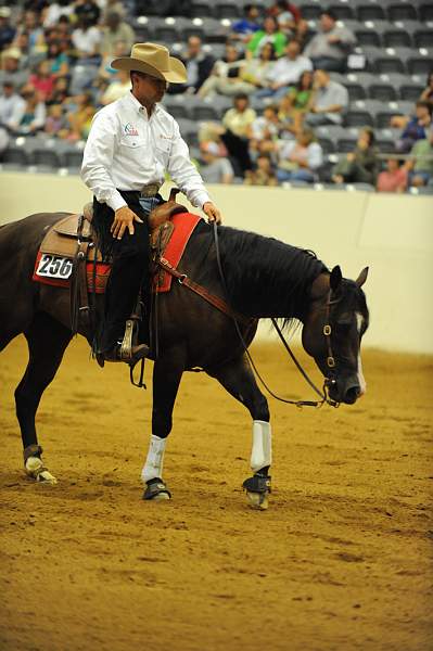 WEG-7-23-09-1034-ReiningTest-AaronRalston-DoubleMyWhiskey-USA-DDeRosaPhoto.jpg