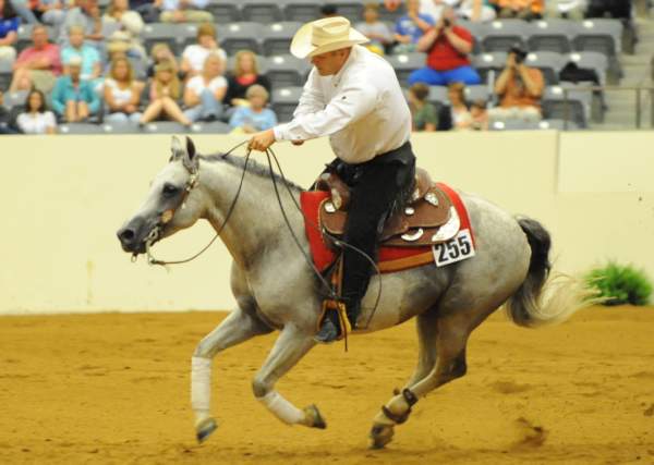 WEG-7-23-09-1219-ReiningTest-DellHendricks-StarbucksSidekick-USA-DDeRosaPhoto.jpg