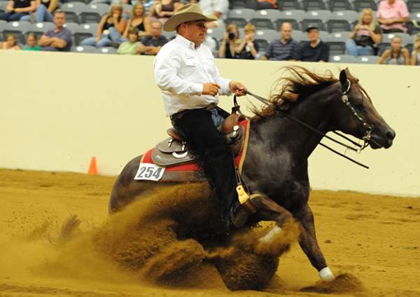 WEG-7-23-09-1234-ReiningTest-ShawnFlarida-SmartSpook-USA-DDeRosaPhoto.jpg