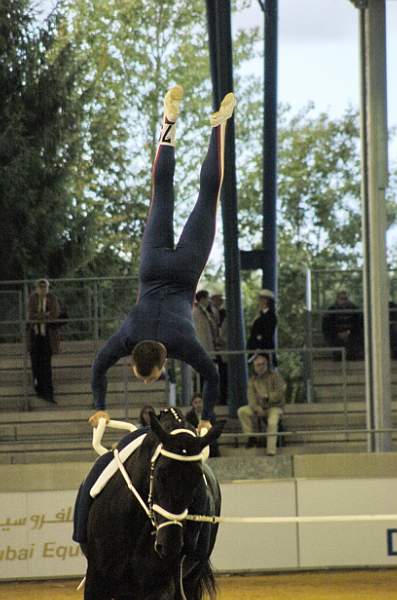 282-WEG-Vaulting-8-24-06-DeRosaPhoto
