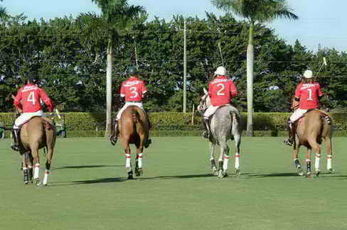 IPC-Polo-1-8-17-6489-DDeRosaPhoto
