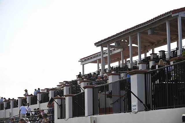 IPC-Polo-1-1-17-1096-DDeRosaPhoto