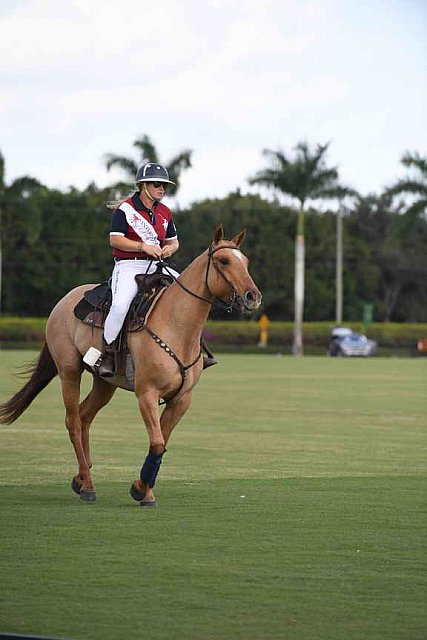 IPC-Polo-1-1-17-1085-DDeRosaPhoto