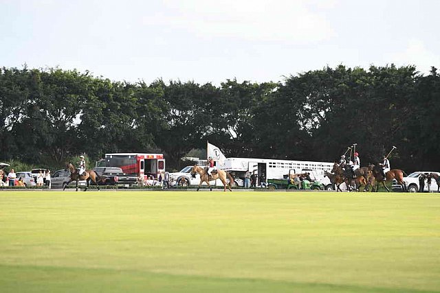 IPC-Polo-1-1-17-1143-DDeRosaPhoto