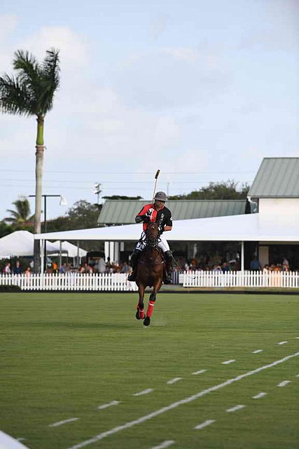 IPC-Polo-1-1-17-1193-DDeRosaPhoto