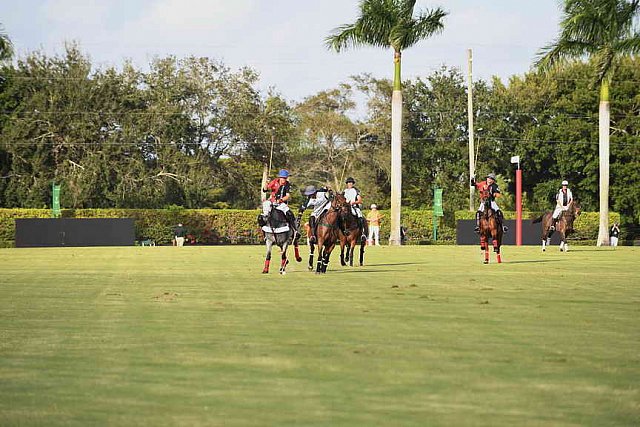 IPC-Polo-1-1-17-1248-DDeRosaPhoto