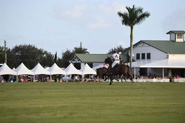 IPC-Polo-1-1-17-1308-DDeRosaPhoto