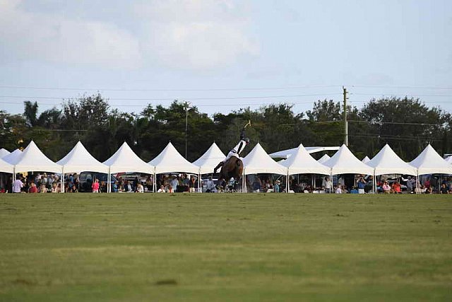 IPC-Polo-1-1-17-1310-DDeRosaPhoto
