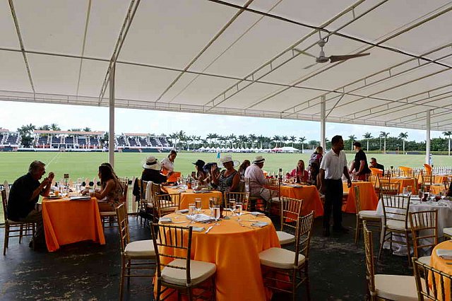 IPC-Polo-1-1-17-5910-DDeRosaPhoto