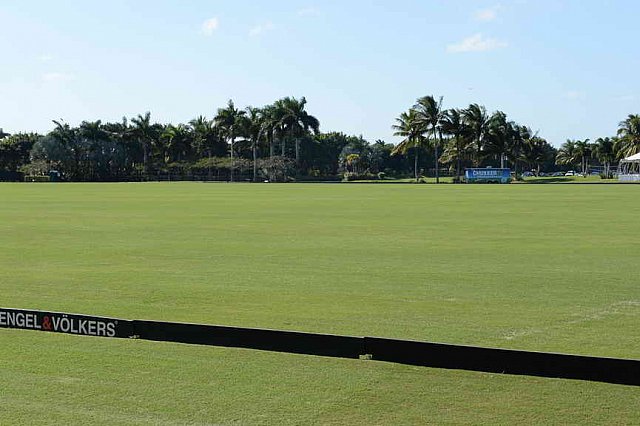 IPC-Polo-1-8-17-6293-DDeRosaPhoto