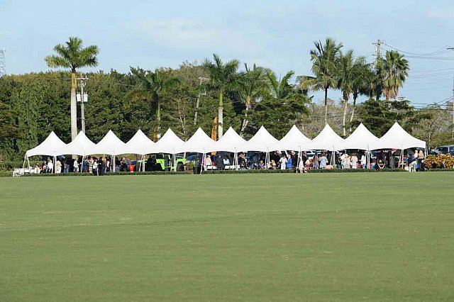 IPC-Polo-1-8-17-6467-DDeRosaPhoto