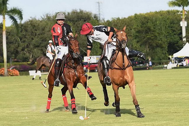 IPC-Polo-1-1-17-1257-DDeRosaPhoto