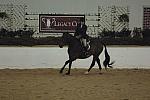 083-TommyBahama-LaurieStevens-LegacyCup-NonPro3-5-17-07-DeRosaPhoto.jpg