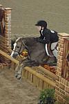 038-Culvercroft'sBodaci-MarthaIngram-LegacyCupCup-PnyHtrGoRnd-5-12-07-DeRosaPhoto.jpg