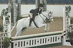 063-Hillcrest'sTiaMaria-LaurenTyree-LegacyCupCup-PnyHtrGoRnd-5-12-07-DeRosaPhoto.jpg