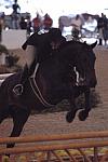 078-AlmostMajic-TammyProvost-Pro3'Finals-LegacyCup-5-11-07-DeRosaPhoto.jpg