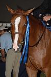 199-Mojito-LegacyCup-5-11-07-DeRosaPhoto.jpg