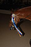 414-NicoleSimpson-RioRenoir-LegacyCup-5-12-07-DeRosaPhoto.jpg