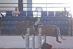 305-VioletsAreBlue-JenniferAlfano-LegacyCup-3'6Pro-5-10-07-DeRosaPhoto.jpg