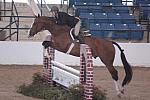 344-Safari-CookieBeck-LegacyCup-3'6Pro-5-10-07-DeRosaPhoto.jpg
