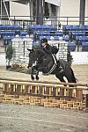 1211-LittleBlackDress-JoyHarringtonGraue-LegacyCup-NonPro3'-5-15-08-DeRosaPhoto