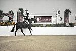 1213-LittleBlackDress-JoyHarringtonGraue-LegacyCup-NonPro3'-5-15-08-DeRosaPhoto