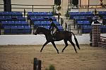1608-Portofino-NicoleBellissimo-LegacyCup-NonPro3'Finals-5-16-08-DeRosaPhoto.jpg