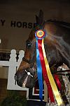 1795-NorthShore-EmilyWygod-LegacyCup-NonPro3'FinalsAwards-5-16-08-DeRosaPhoto.JPG