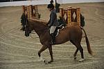 1184-Orka-LaurieStevens-LegacyCup-NonPro3'-5-15-08-DeRosaPhoto.jpg