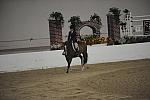 1219-Madaline-NicoleBellissimo-LegacyCup-NonPro3'-5-15-08-DeRosaPhoto.jpg