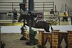 1251-RiverDreams-LizzieStickney-LegacyCup-NonPro3'-5-15-08-DeRosaPhoto.jpg
